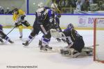 Photo hockey reportage Finale Conti Cup : Du sérieux, de l’envie, le titre et l’euphorie.