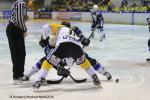 Photo hockey reportage Finale Conti Cup : Du sérieux, de l’envie, le titre et l’euphorie.