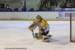 Photo hockey reportage Finale Conti Cup : Du sérieux, de l’envie, le titre et l’euphorie.