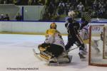 Photo hockey reportage Finale Conti Cup : Du sérieux, de l’envie, le titre et l’euphorie.