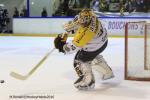 Photo hockey reportage Finale Conti Cup : Du sérieux, de l’envie, le titre et l’euphorie.