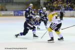 Photo hockey reportage Finale Conti Cup : Du sérieux, de l’envie, le titre et l’euphorie.