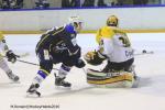 Photo hockey reportage Finale Conti Cup : Du sérieux, de l’envie, le titre et l’euphorie.