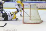 Photo hockey reportage Finale Conti Cup : Du sérieux, de l’envie, le titre et l’euphorie.