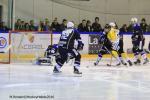 Photo hockey reportage Finale Conti Cup : Du sérieux, de l’envie, le titre et l’euphorie.