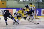 Photo hockey reportage Finale Conti Cup : Du sérieux, de l’envie, le titre et l’euphorie.