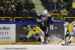 Photo hockey reportage Finale Conti Cup : Du sérieux, de l’envie, le titre et l’euphorie.