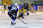 Photo hockey reportage Finale Conti Cup : Du sérieux, de l’envie, le titre et l’euphorie.