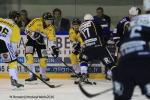 Photo hockey reportage Finale Conti Cup : Du sérieux, de l’envie, le titre et l’euphorie.