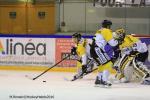 Photo hockey reportage Finale Conti Cup : Du sérieux, de l’envie, le titre et l’euphorie.