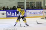 Photo hockey reportage Finale Conti Cup : Du sérieux, de l’envie, le titre et l’euphorie.