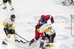 Photo hockey reportage Finale U20 – J3 : le sacre de Rouen