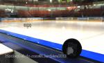 Photo hockey reportage France - Norvège Match 2