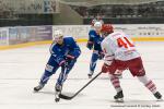 Photo hockey reportage France-Danemark : courte désillusion 