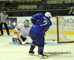 Photo hockey reportage France-Danemark : courte désillusion 