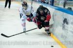 Photo hockey reportage Grenoble résiste face à l'AHL