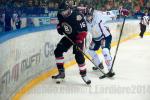 Photo hockey reportage Grenoble résiste face à l'AHL