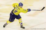 Photo hockey reportage La rentrée des Vipers