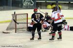 Photo hockey reportage Le HC 74 aura tout tenté