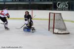 Photo hockey reportage Le HC 74 aura tout tenté