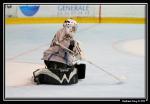 Photo hockey reportage Les Dragons : Première glace en images...