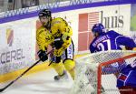 Photo hockey reportage Les Dragons chutent mais espèrent.