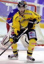 Photo hockey reportage Les Dragons chutent mais espèrent.