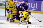 Photo hockey reportage Les Dragons chutent mais espèrent.
