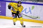 Photo hockey reportage Les Dragons chutent mais espèrent.