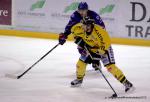 Photo hockey reportage Les Dragons chutent mais espèrent.