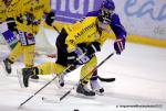 Photo hockey reportage Les Dragons chutent mais espèrent.