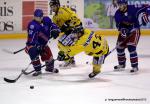 Photo hockey reportage Les Dragons chutent mais espèrent.