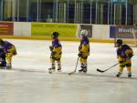 Photo hockey reportage Les résultats du week-end Vipers 