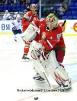 Photo hockey reportage Mondial 11: La France sauvée !