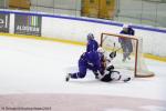 Photo hockey reportage Mondial Féminin - La France un peu courte.