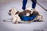 Photo hockey reportage Mondial Roller : Retour Vidéo sur le sacre des Bleuets