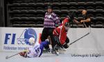 Photo hockey reportage Mondial Roller : Retour Vidéo sur le sacre des Bleuets