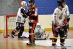 Photo hockey reportage N1 : Bon début d'année pour les Griffons