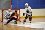 Photo hockey reportage N1 : Bon début d'année pour les Griffons