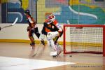 Photo hockey reportage N1 : Bon début d'année pour les Griffons
