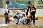 Photo hockey reportage N1 : Bon début d'année pour les Griffons