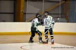 Photo hockey reportage N1 : Les Griffons à la relance