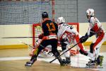 Photo hockey reportage N1 : Les Griffons décollent avec panache ! 