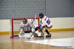 Photo hockey reportage N1 : Les Griffons survolent les Phénix