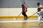 Photo hockey reportage N1 : Match référence pour les Griffons
