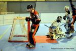 Photo hockey reportage N1 PO : La marche était trop haute