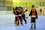 Photo hockey reportage N1 PO : La marche était trop haute