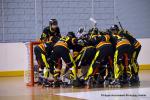 Photo hockey reportage N1 PO : Tout reste à faire