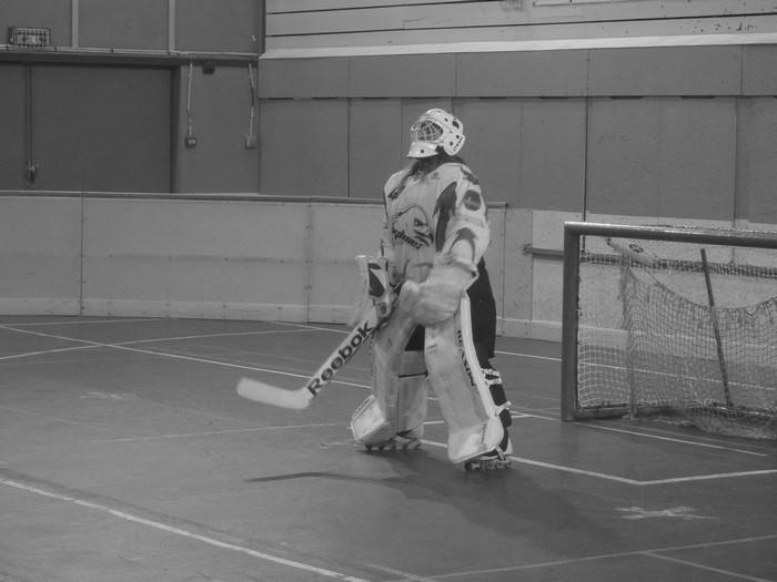Photo hockey reportage N2 : Besançon roule vers les playoff