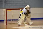 Photo hockey reportage N2 : Démonstration de force